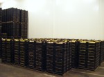 [Total Pallets 2010_10052djh290420100027.JPG]